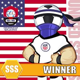 B组 美国 赢 SSS #1